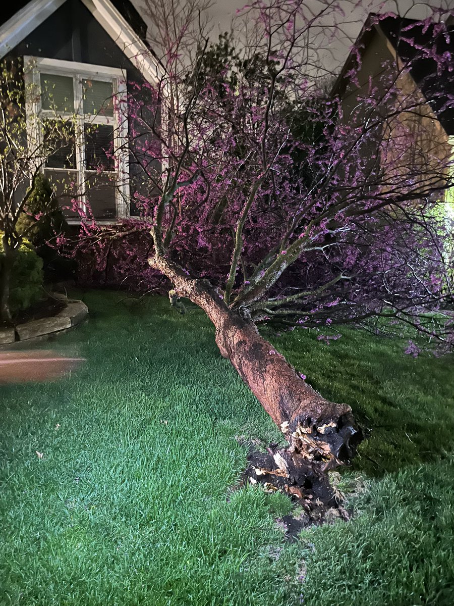 chapple_nic's tweet photo. #chainsawsunday Last night’s storm took out our whole freaking tree! @awchap01 @KarliRitter @MBogowith @fox4wx https://t.co/OBTaBBcSCa