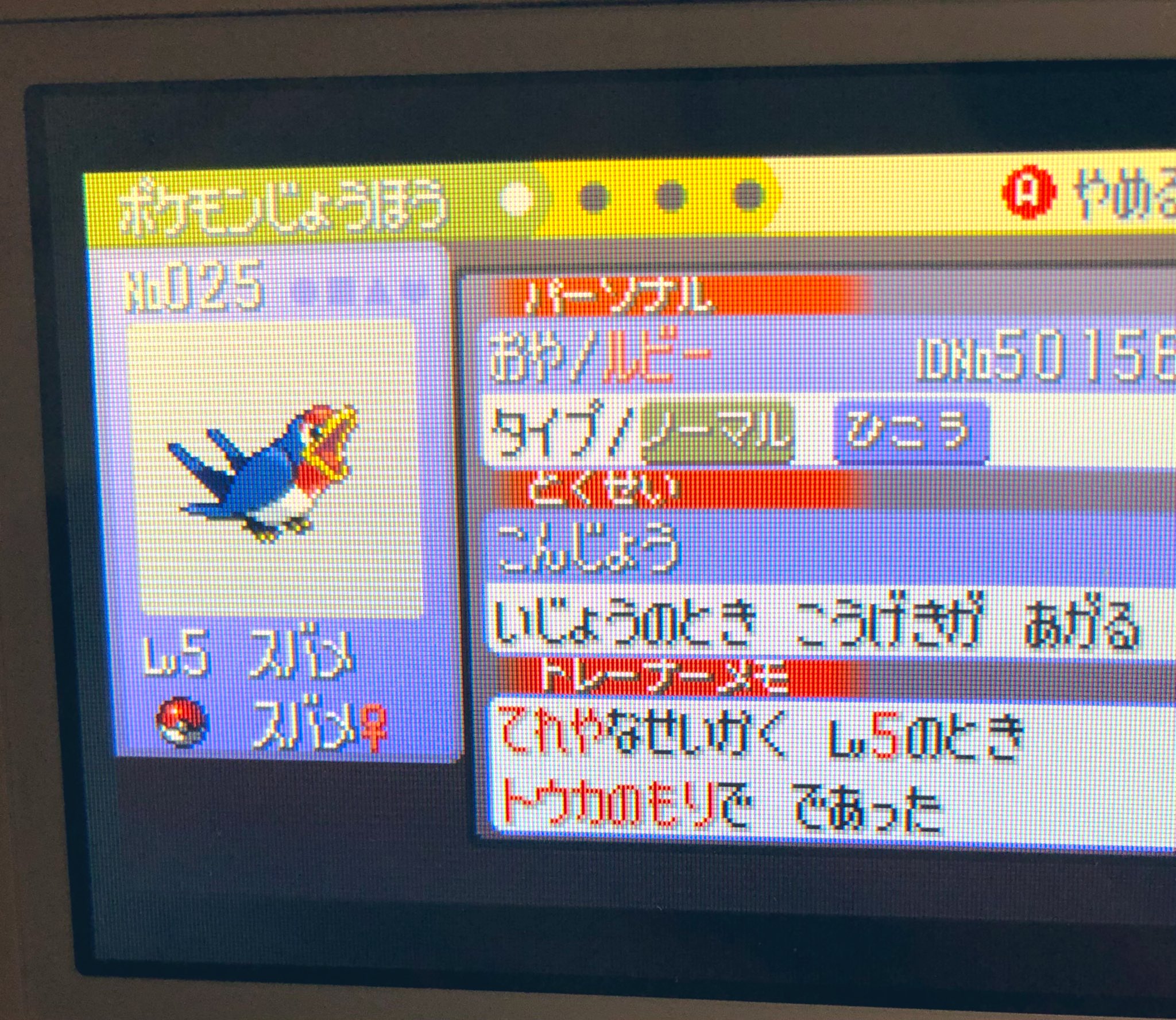ルビーサファイア Twitter Search Twitter