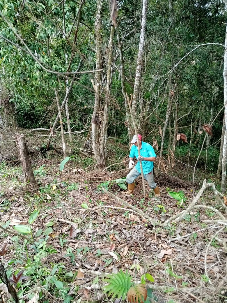 Nuestra brigada de acción territorial permanente FCI - @UnionComunera participó este sábado en una jornada de mano vuelta o convite en tierras de un compañero productor en el sector Las Lolas del estado Miranda #24Abr