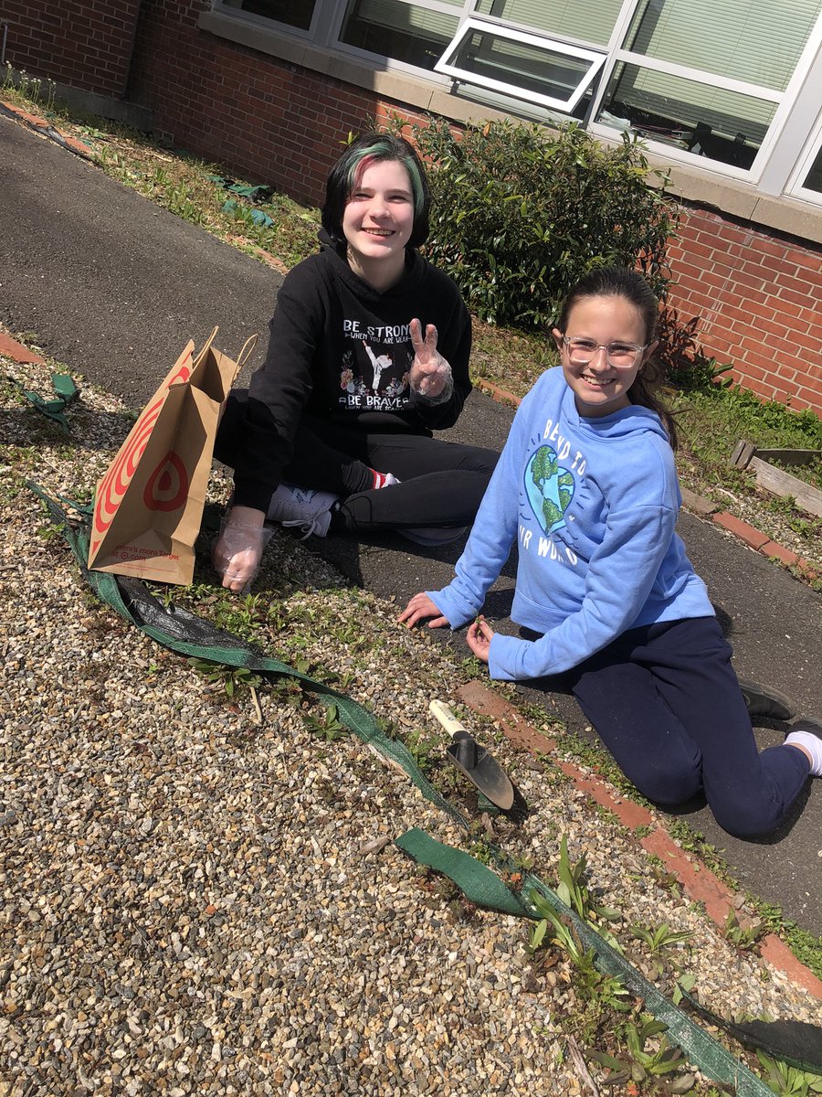 PHSMrsRizzo's tweet photo. Lots of Earth Day fun happening at PHS! 💜🌎💛 #EarthDay22 #rizzo247245 https://t.co/JS9E98bP6h