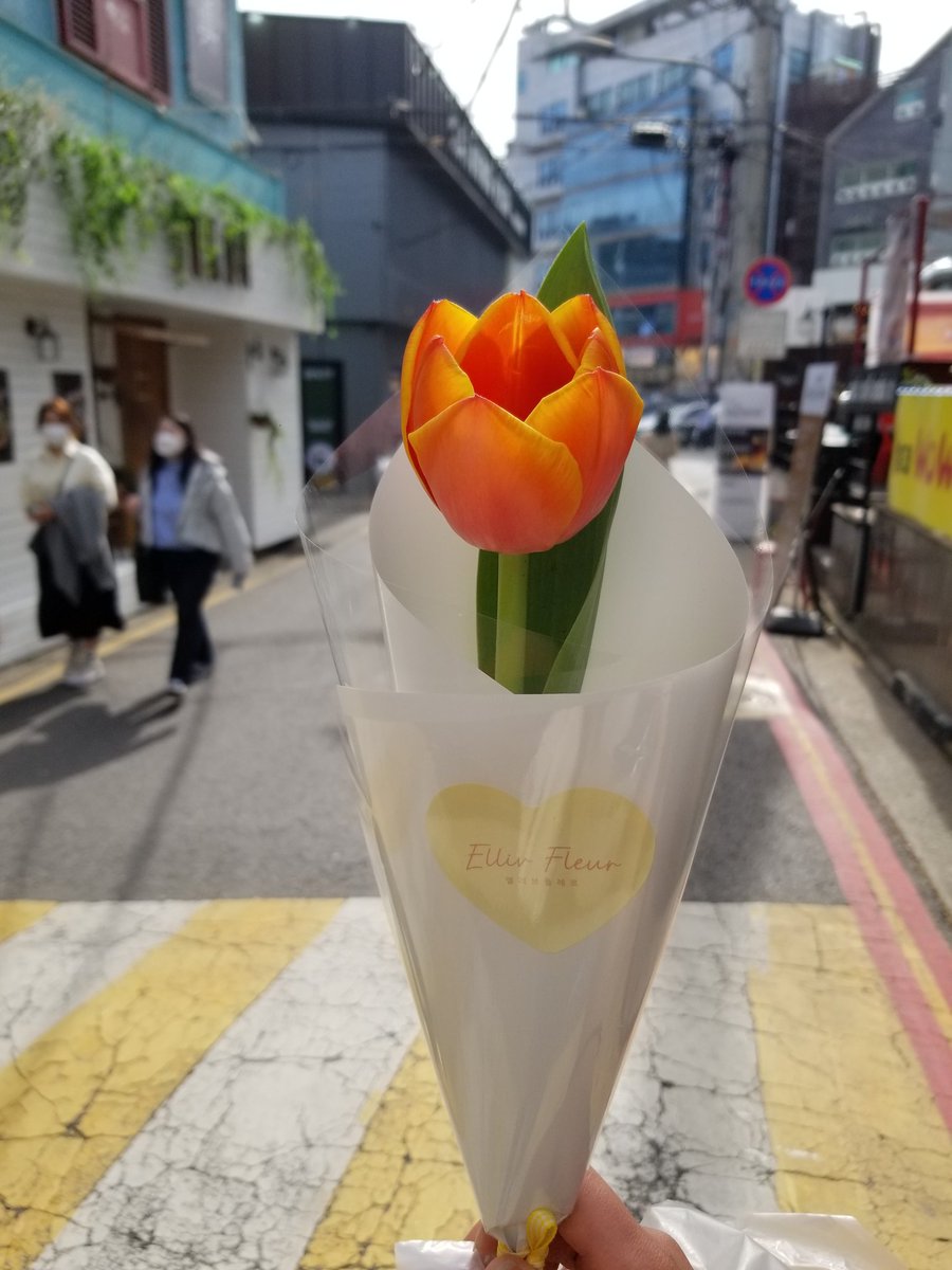 ddoiddo2's tweet photo. #제노가_예쁘게_피어난_봄  #Fleuri_Jeno 
성수 엘리브 플레르🌸
생일 꽃집이라니 제가 괜히 선물받는 느낌이였어요 외관부터 내부까지 제노랑 찰떡!! 시간이 지날수록 피는 튤립이 예뻤고 햇빛아래에선 눈물나게 예뻐요ㅠㅠㅠ 평생 안시들었으면 좋겠어요🥺 https://t.co/hbELCPHoEB