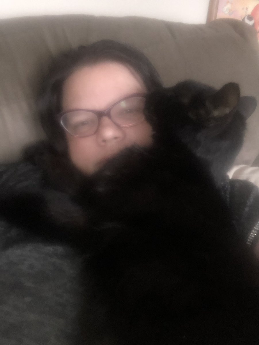 stacy_arsenault's tweet photo. Today we say goodbye to Keaton. He’s our first cat. Impossible to replace. Just turned 2 this week and his body is so full of cancer we cannot wait another day to let him go. 💔 https://t.co/NGMiIa68Oe