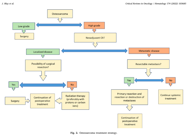 SelnetH2020's tweet photo. The SELNET clinical practice guidelines for bone sarcomas
https://t.co/4dRweFMQoA

#SELNET #sarcomas #bonetumors https://t.co/nWmCPr3HjL
