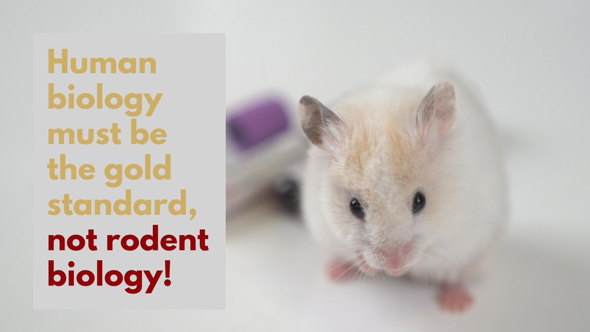 On this #WorldDayforAnimalsinLaboratories, we gratefully acknowledge the sacrifices still being made by tens of millions of animals annually. Looking forward to the day when this “tool” in #science becomes obsolete! #innovation #ThinkOutsideTheCage #HumanBiologyTheGoldStandard