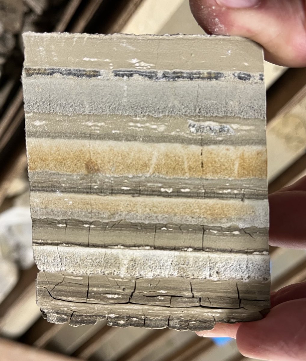 Richard Herrington tweet media