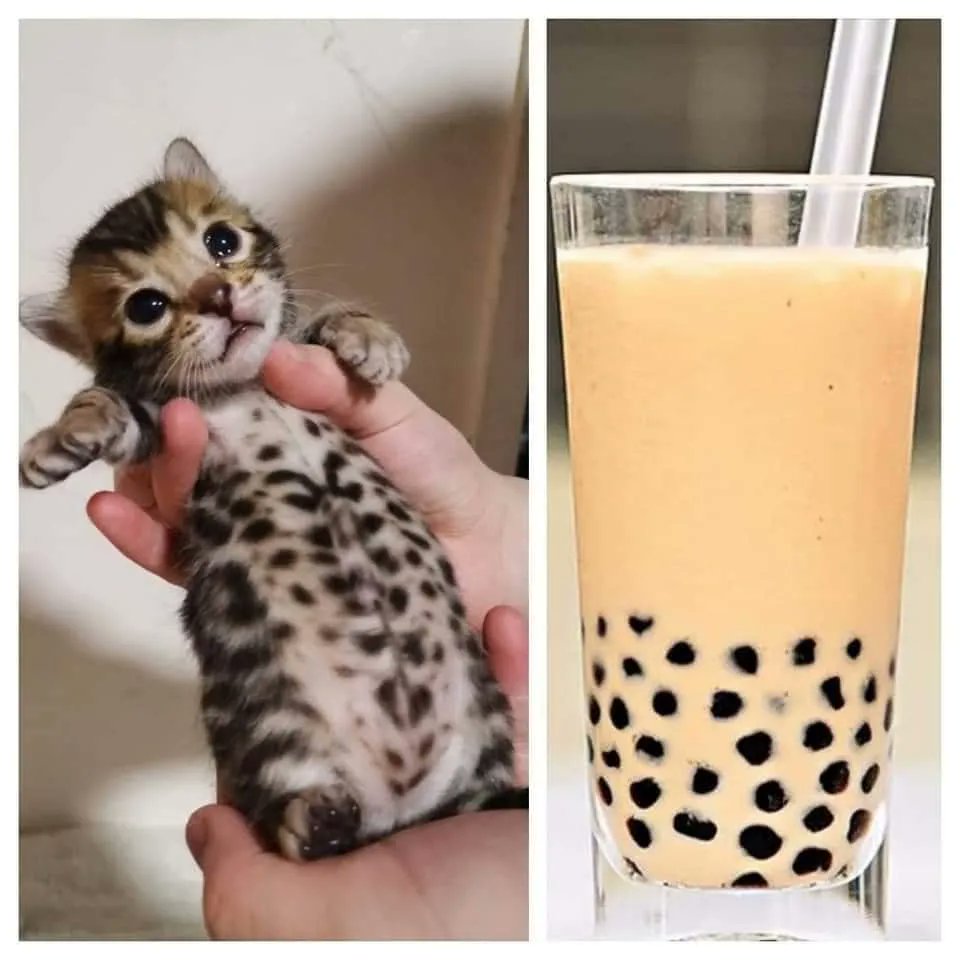 I'm hungry. Oh, I'm fine.