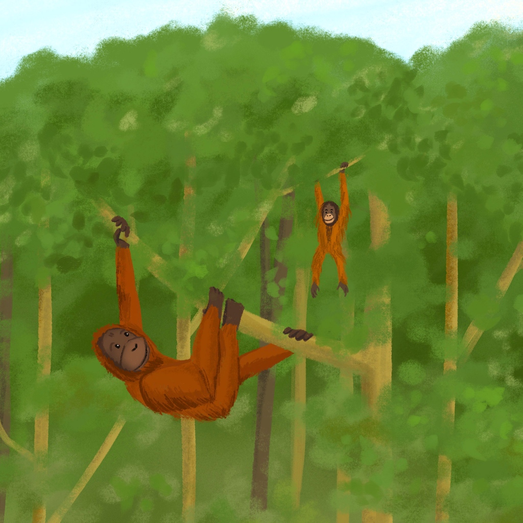 RuchiMittalArt's tweet photo. I've had this picture in my head for a while now, and it fit today's Green Living prompt perfectly. 
.
#ourplanetweek day 2: #greenliving 
.
#natureillustration #childrensbookillustration #ruchimittalart https://t.co/3txCvPR0dY