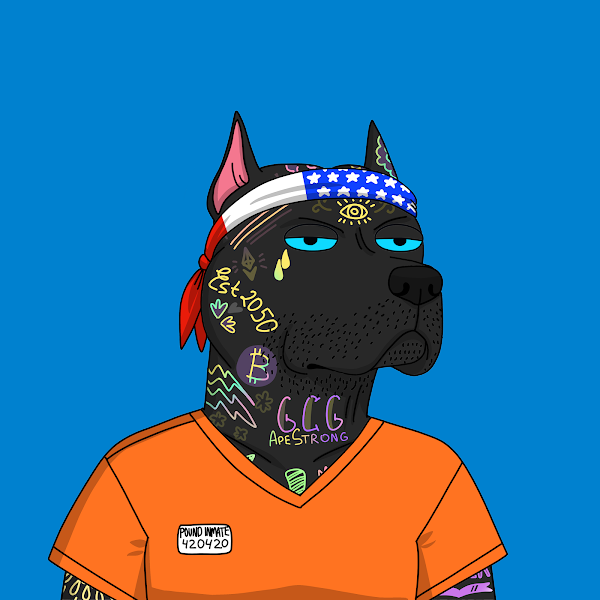 My first two additions post Moonbirds sale. Always been a huge fan of the tat furs, pumped to add some to my gang. <a href="/GutterCatGang/">Gutter Cat Gang</a> #GutterCatGang #ganggang