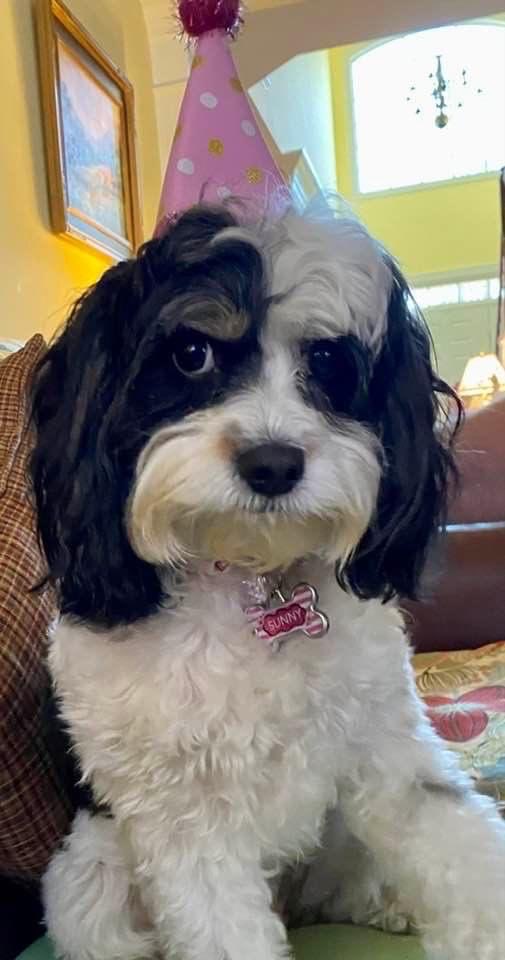 Happy 3rd birthday 🎂❤️, Sunny Lynn!