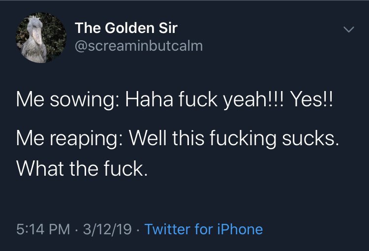 seth (@sethjillson) on Twitter photo 