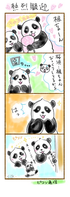 パンダ 8点おまとめリクエスト 京成パンダ【公式】 على X: 