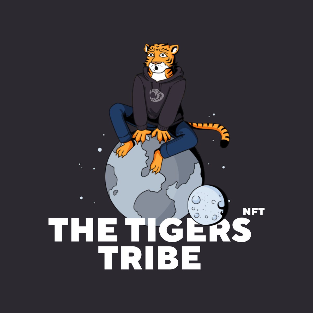 The Tigers Tribe tweet media