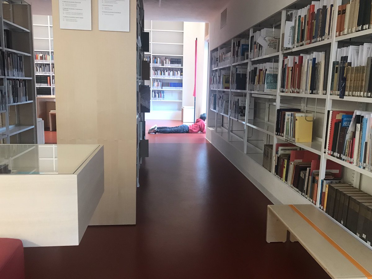 Daniela F Eisenstein tweet media