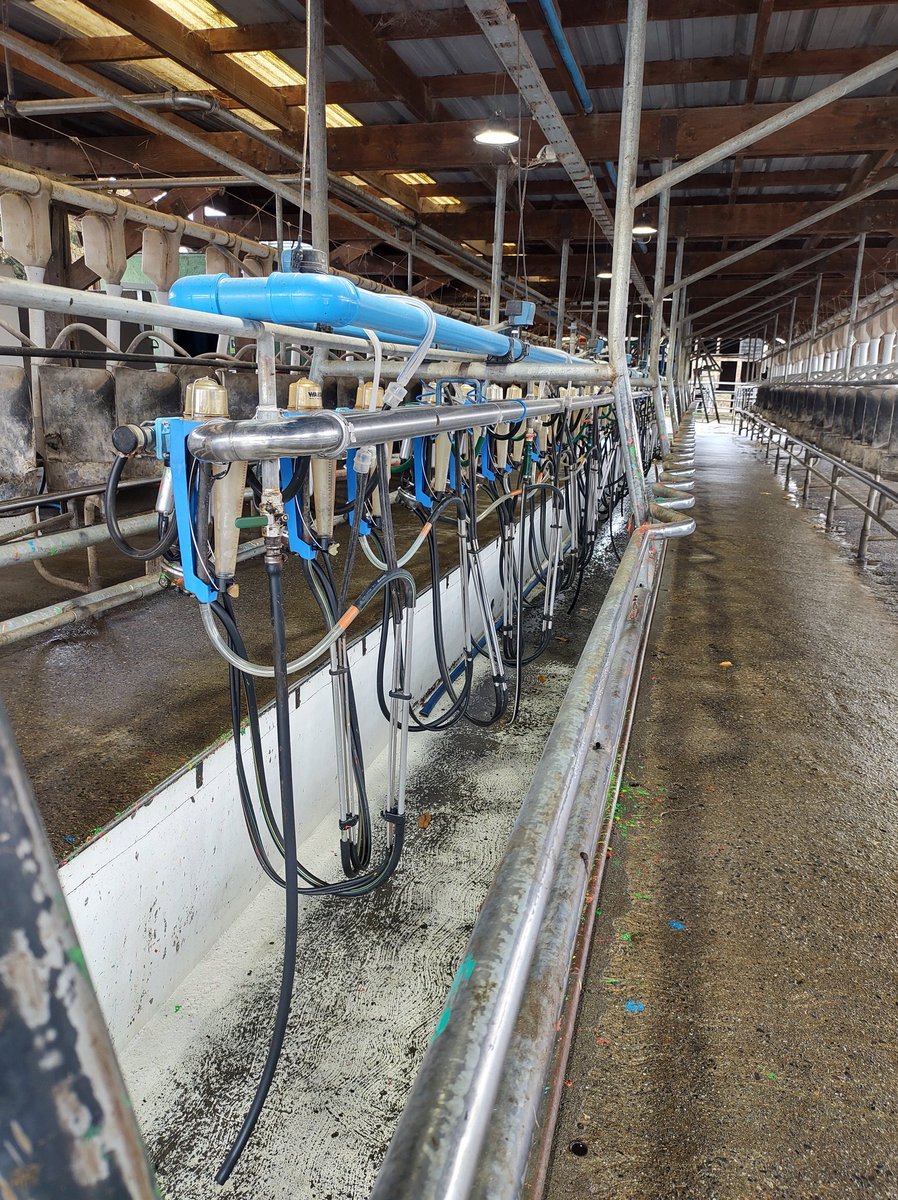 Milktest8's tweet photo. Control lechero 👩‍⚕️👨‍⚕️🐄✅🔬 https://t.co/Wncm523dqV