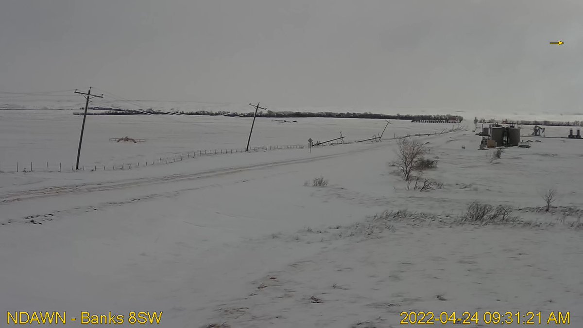 DarylRitchison's tweet photo. This is just sickening. More lines down @NDAWNmesonet Banks. #ndblizzard #poweroutage https://t.co/YmhnLtZfWM