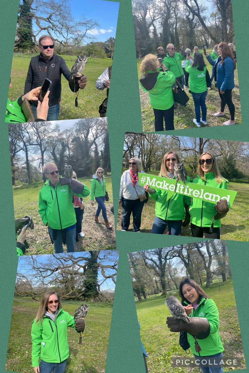 Falconry experience at the renowned ⁦⁦<a href="/mountjuliet/">Mount Juliet Estate</a>⁩ in #Kilkenny.   And who said it rained a lot in Ireland? ⁦⁦<a href="/ATouchOfIreland/">A Touch of Ireland Ltd - DMC</a>⁩
