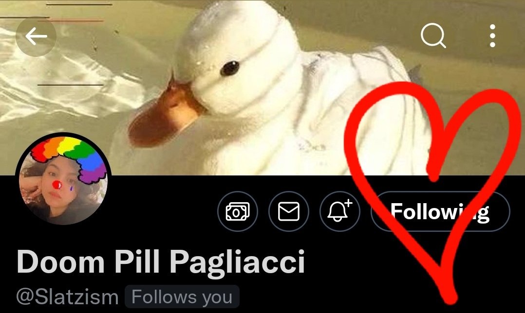 Twitter, which allows hardcore porn, has locked this account - run by a journalist who typically exposes stories of women being harmed by men who say they ID as women - because the 2 profile pictures, one of herself and the other of a duck, are "graphic violence or adult content"