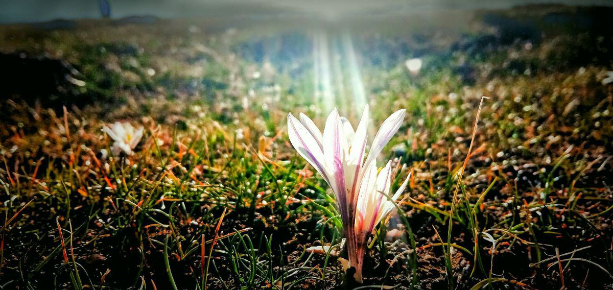 AxrorBaxshi's tweet photo. The priceless value of nature https://t.co/76xuW646Cm