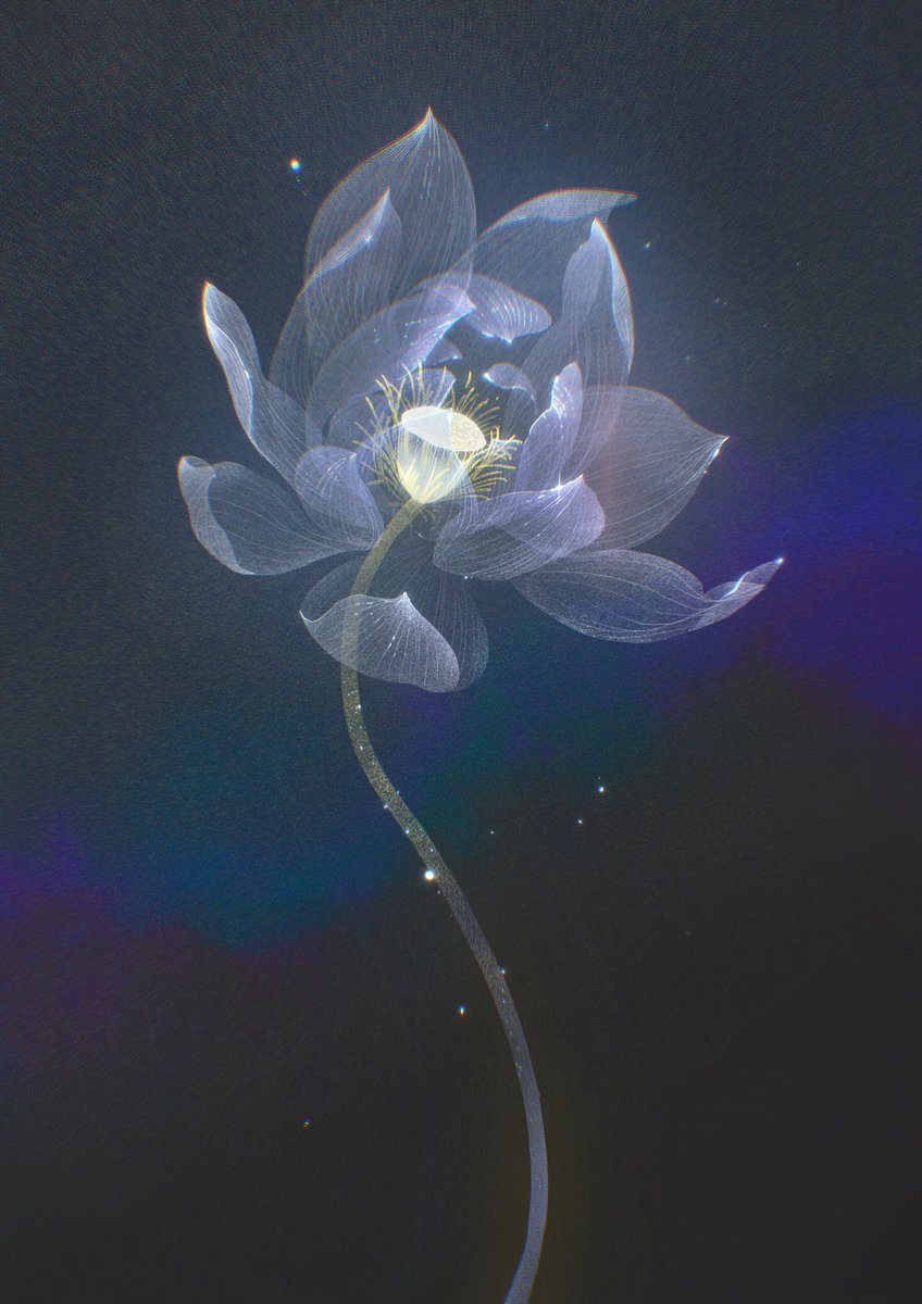 烛。 (@zzzi_gn) on Twitter photo 荷花 荷花