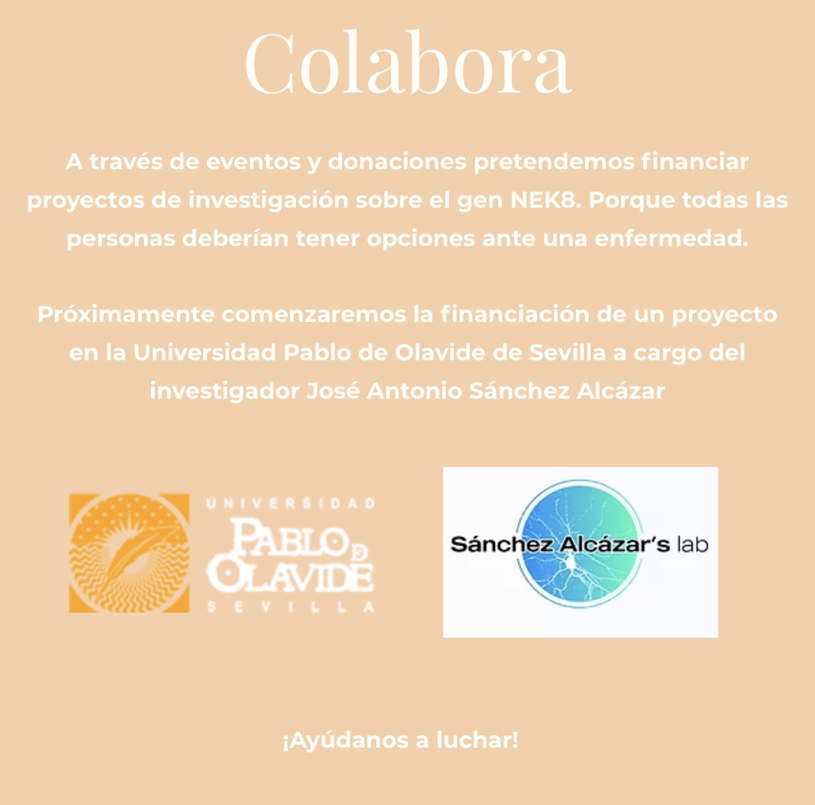 Braincure_CABD's tweet photo. 'Una Vida para Mateo' también necesita vuestra ayuda para la financiación del estudio sobre la enfermedad ultrarara debida a mutaciones en el gen Nek8 que padece Mateo y que comenzará pronto en nuestro laboratorio. 

Aquí tenéis toda la información  ⤵️  https://t.co/lIiu33Oi3f https://t.co/peLhrnuGk5