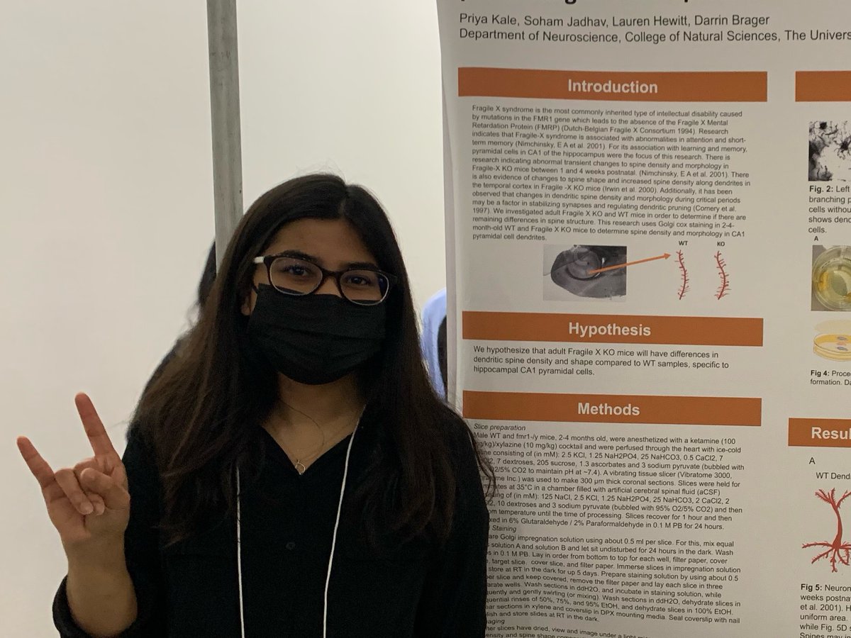 Brager Lab (@bragerlab) on Twitter photo Congratulations to <a href="/BragerLab/">Brager Lab</a> undergrads Priya Kale and Soham Jadhav for presenting their work on using Golgi staining to look at dendritic spines in the adult hippocampus of Fragile X mice at the UT Undergraduate Research Forum. Congratulations to <a href="/BragerLab/">Brager Lab</a> undergrads Priya Kale and Soham Jadhav for presenting their work on using Golgi staining to look at dendritic spines in the adult hippocampus of Fragile X mice at the UT Undergraduate Research Forum.