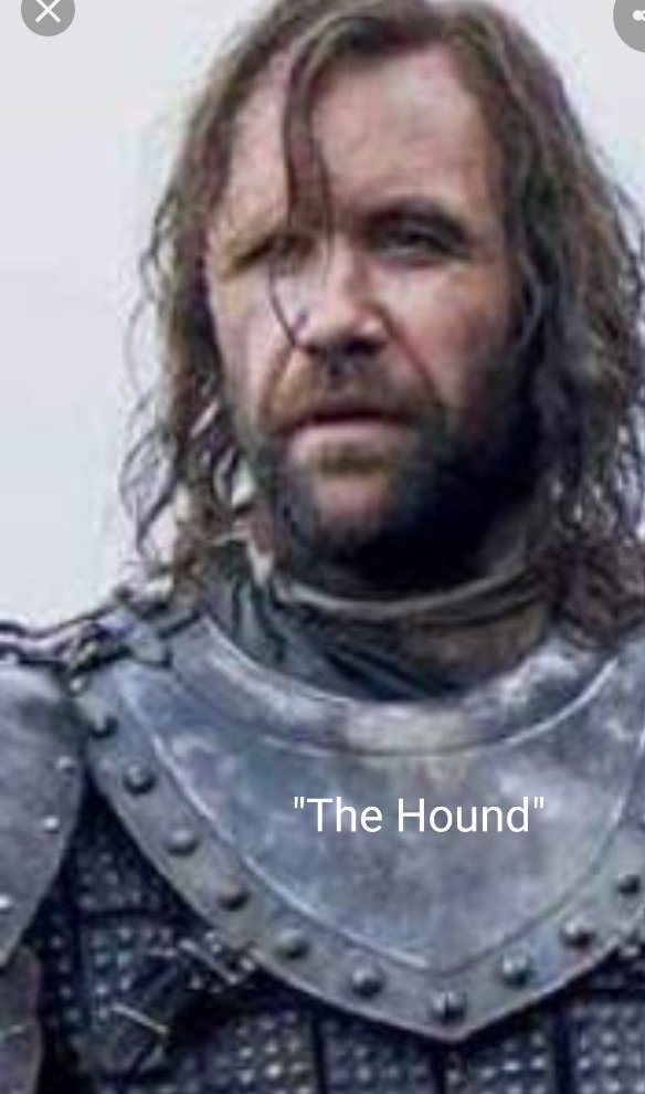 Happy Birthday Rory Mccann aka Sandor Clegane aka The Hound. U are my favorite character on GAME OF THRONES      