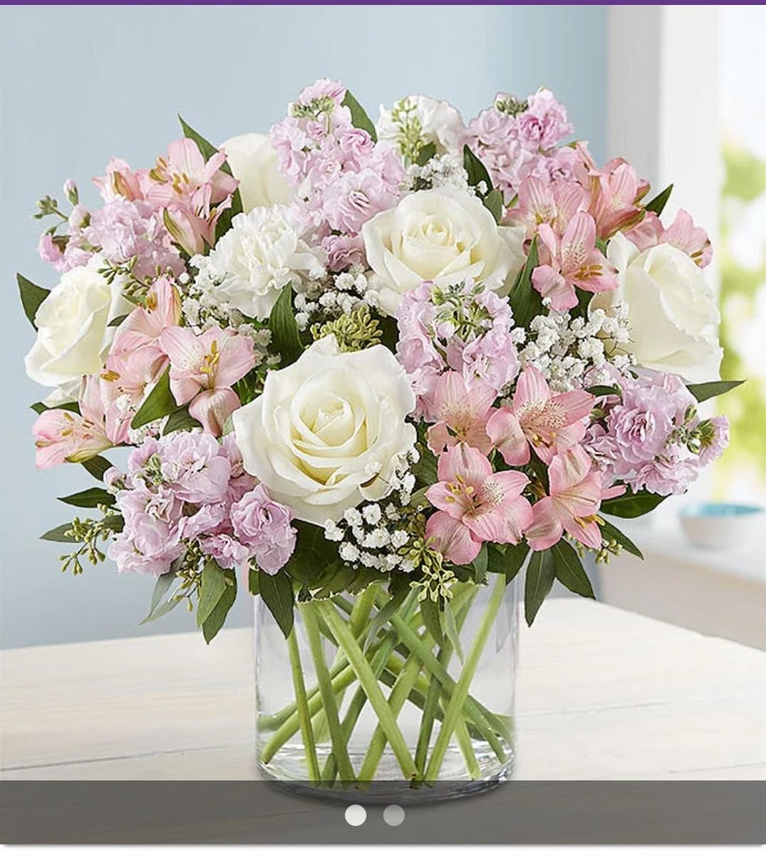 Marianna tweet media