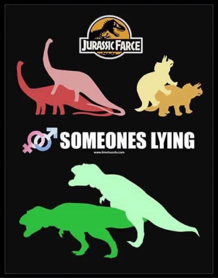 Tommy Tree tweet media