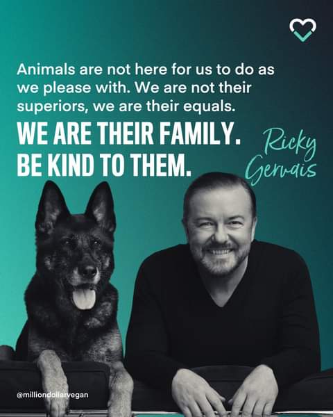 Happy Birthday Anti who played Brandy with #RickyGervais  on #Afterlife.What a talented and sweet #Dog you are! https://t.co/bC4u0VK2pa