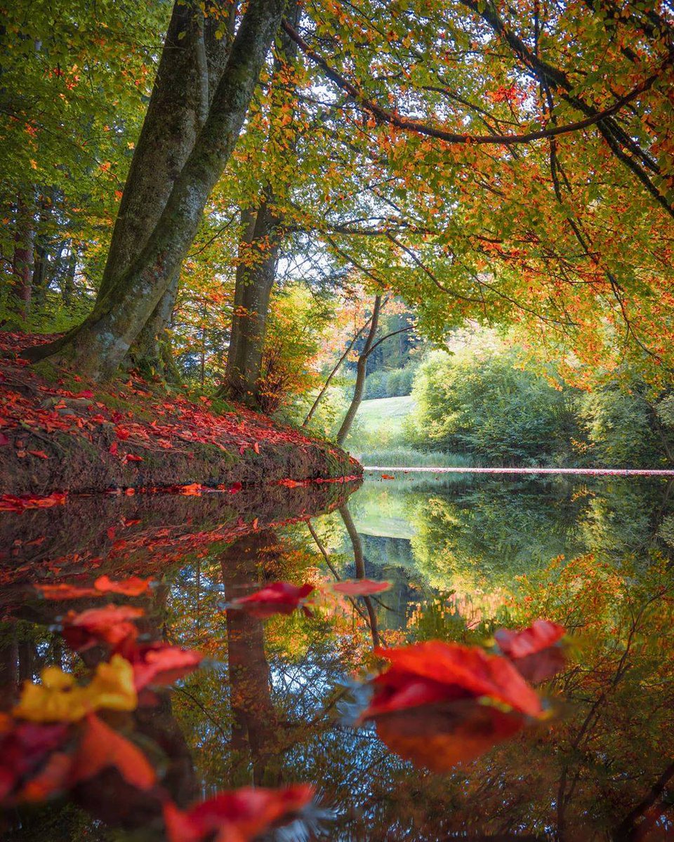 MAMOUN KHATEEB tweet media