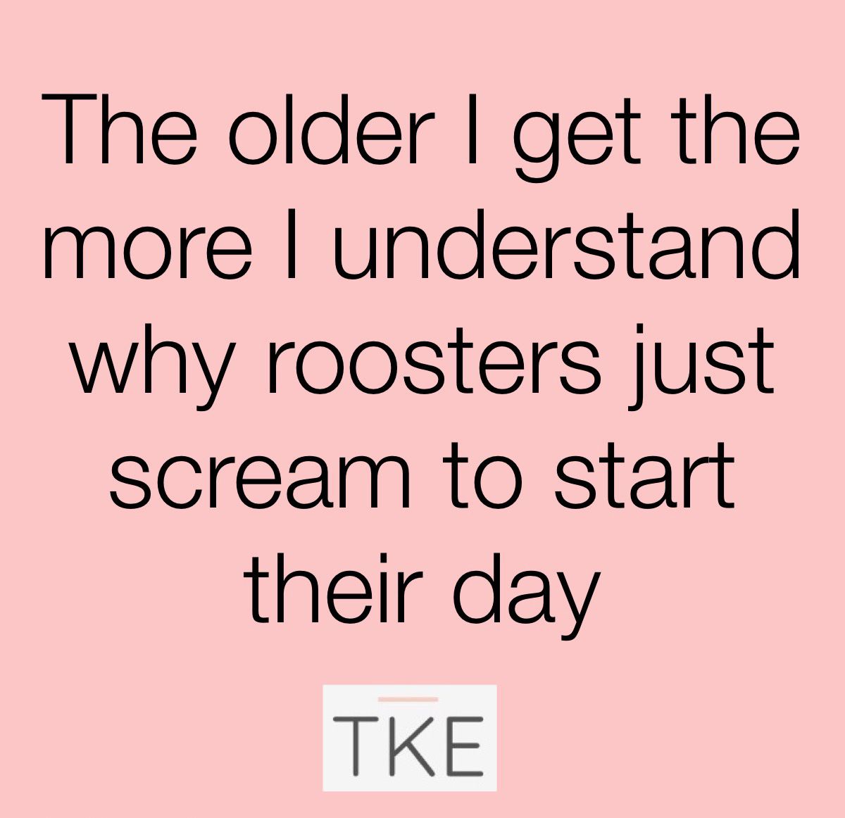 TheKindergarte3's tweet photo. I wanna do the same. #Roosters #Scream #FuckMornings https://t.co/VGh6oEqi1z