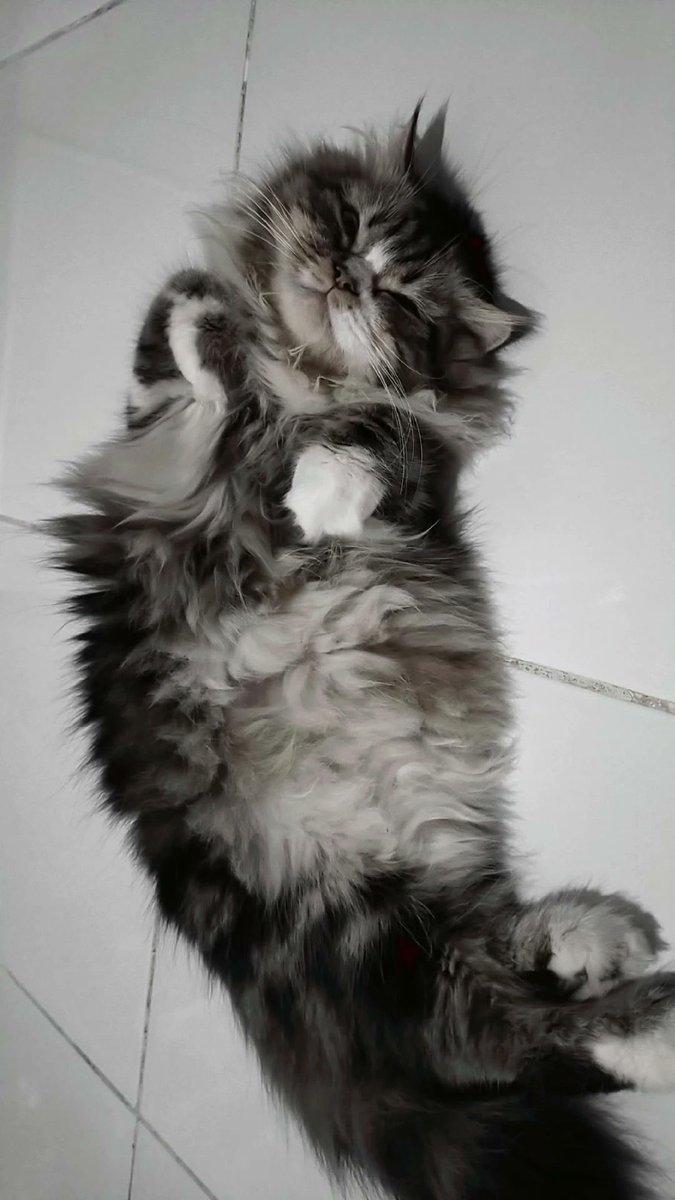 Never regret a day in your life. Good days bring U happiness and bad days give U experience.
_Zean_
#selamatmenunaikanibadahpuasa