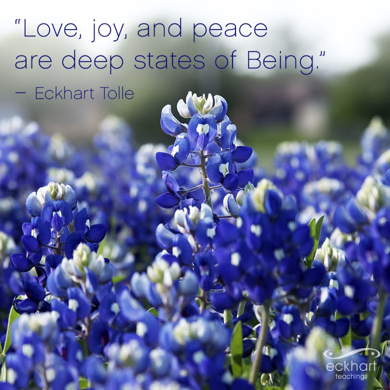 EckhartTolle's tweet photo. "Love, joy, and peace, are deep states of Being." - Eckhart Tolle https://t.co/qR2sJ2Gh5w