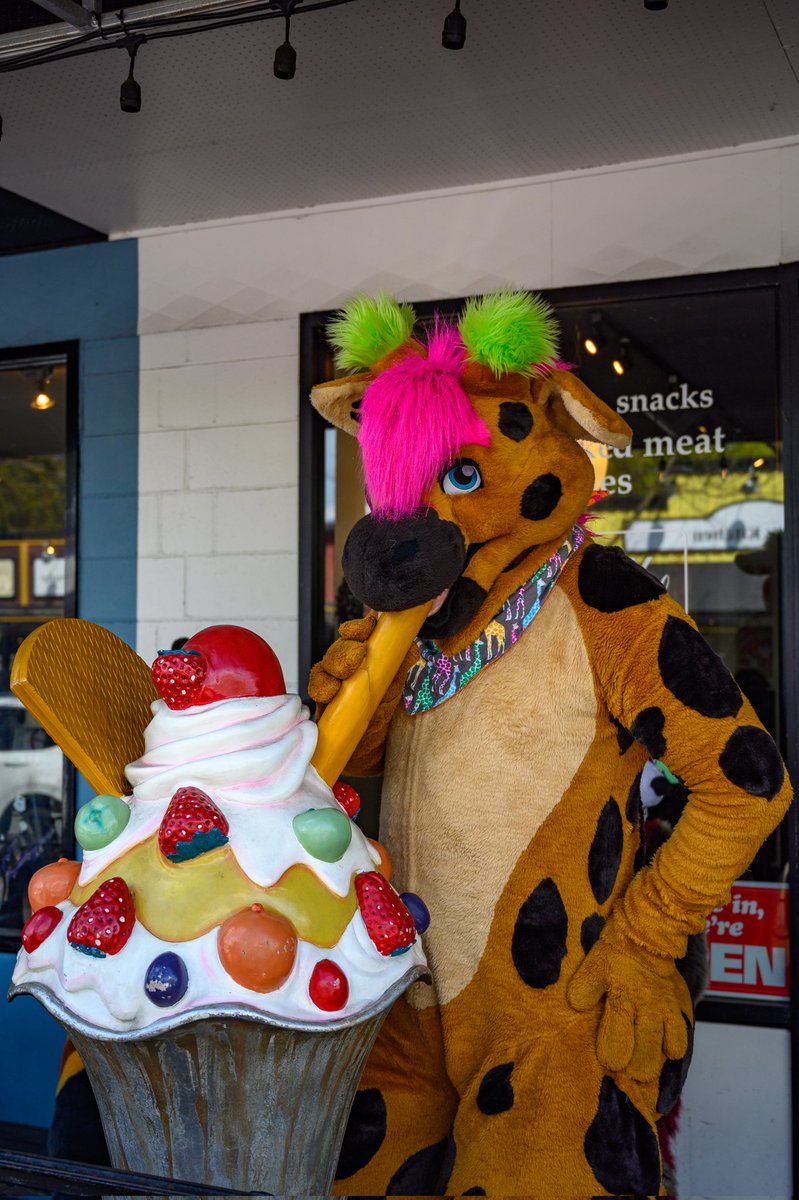 I'm going to drink this whole milkshake and you can't stop me.

📸 @JesseBlueFox 

#furry #fursuiting #fursuit #publicsuiting #fortlangley