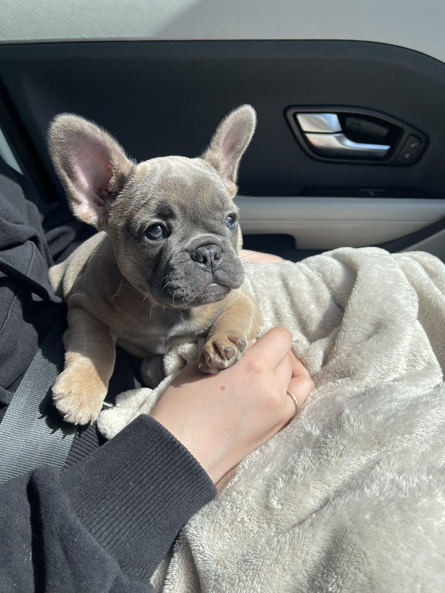 Welcome home Angel girl 👼🏻