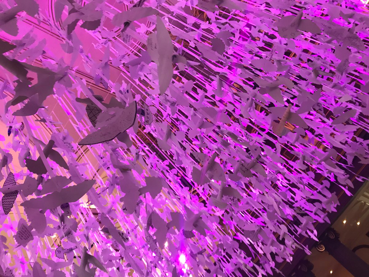 QUAD Participation tweet media