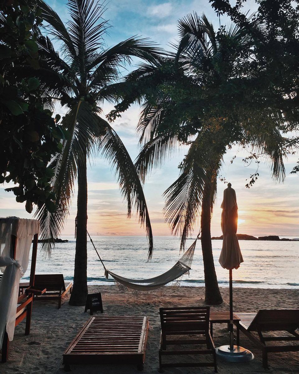 tmbIrpics's tweet image. Need