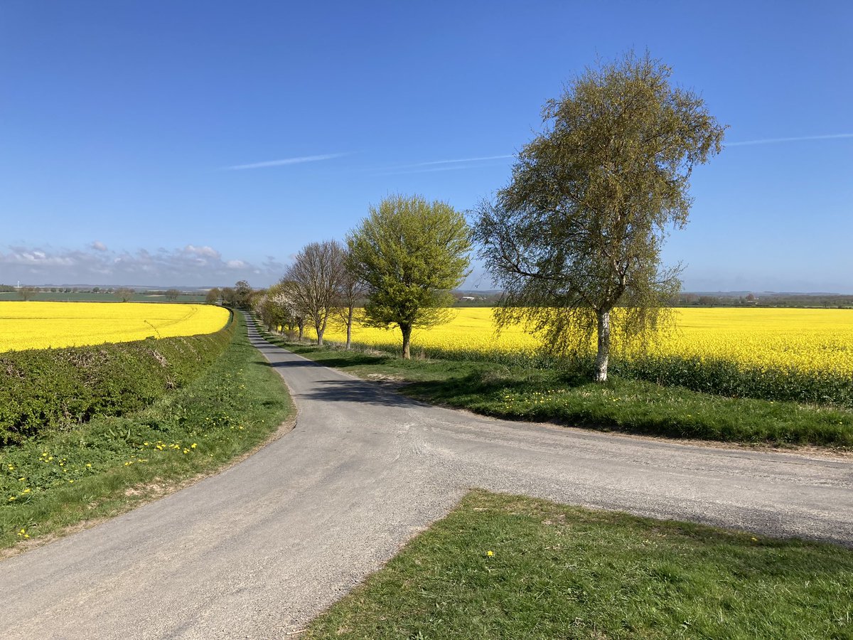 Trudi Davidson tweet media