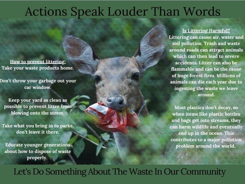 BraggWild's tweet photo. To our delight, Craig Churchill, the Grade 7&amp;8 Science teacher at @bandedpeakrvs agreed to a collaboration with BCW. After we made a presentation to the kids, they produced infographics to post on  social media that explores themes from their ‘Interactions and Ecosystems’ module. https://t.co/QsTC9YaQzs