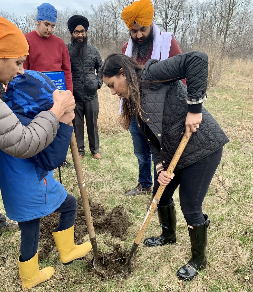 rubysahotalib's tweet photo. Next stop: joining @EcosikhC to launch this year’s tree planting season with @TRCA_HQ @Forests_Ontario for a ceremonial tree planting in honour of Guru Nanak https://t.co/BKu3hLR1tF