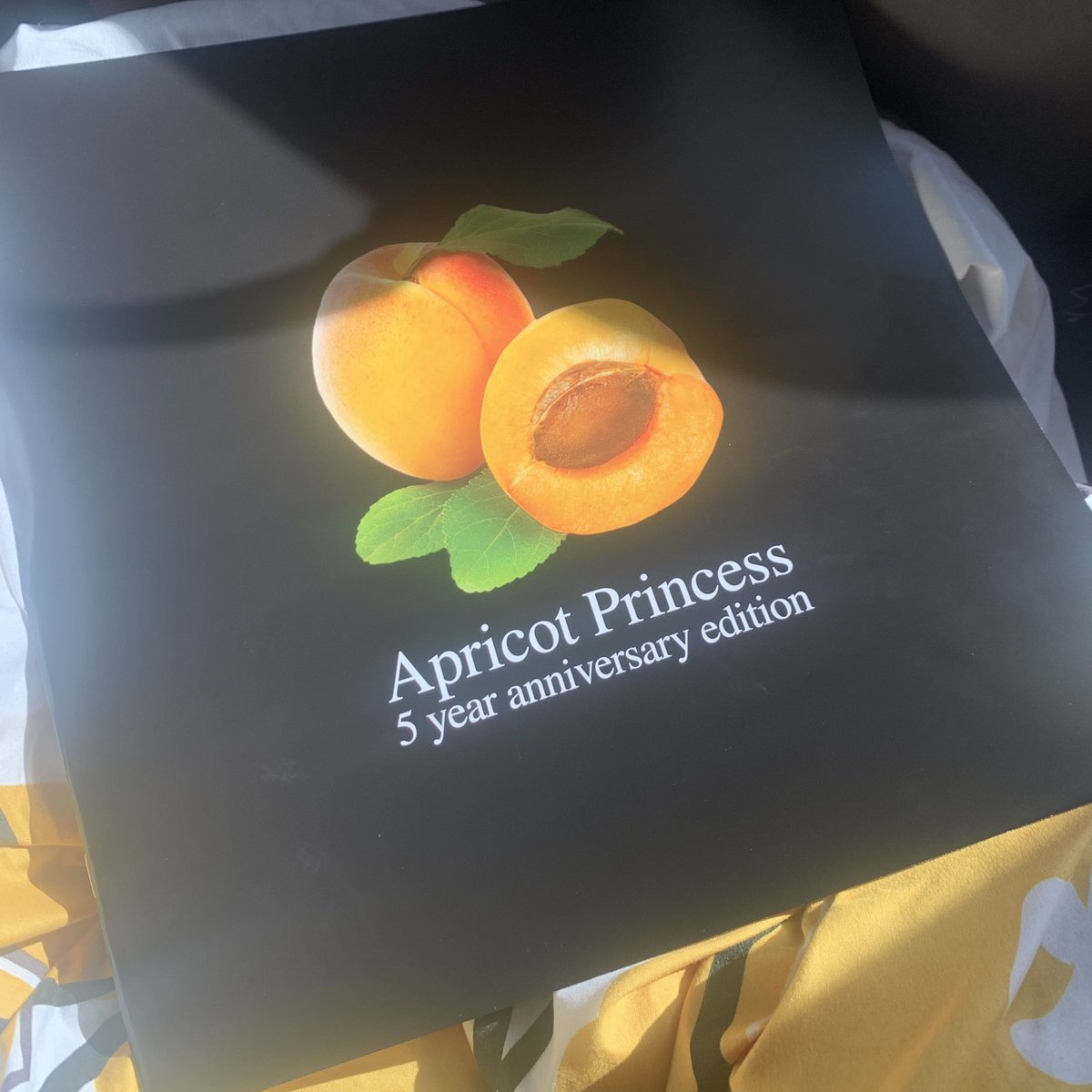emkapps's tweet photo. LOOK HOW PRETTY IT IS #apricotprincess #rexorangecounty @rexorangecounty https://t.co/2O1970OMWS
