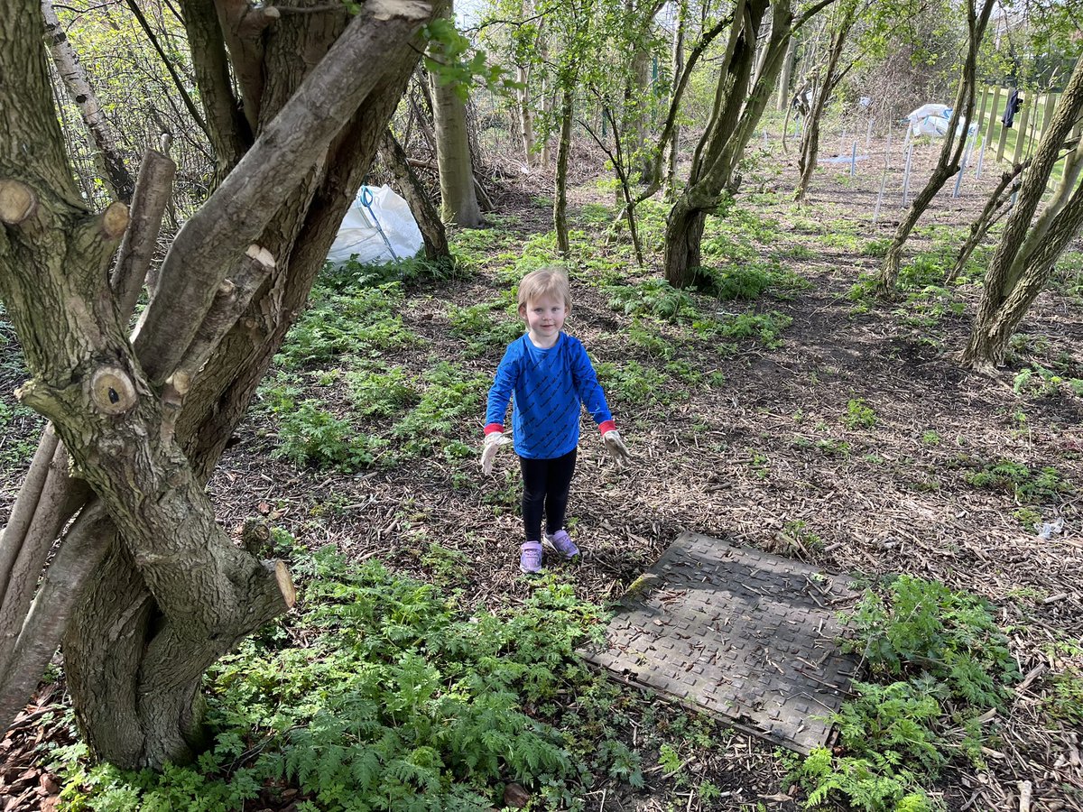 MrMShackleton's tweet photo. Please help us continue to develop our @RedesdalePrim Woodland Area. We have been shortlisted for @dobbies #HelpingYourCommunityGrow project and would love to win! Click on the link and VOTE REDESDALE! (Select store=Gosforth) 🙏🏻retweet and share

https://t.co/Nbqfdoj2Vj https://t.co/oVEekJ9Iqx