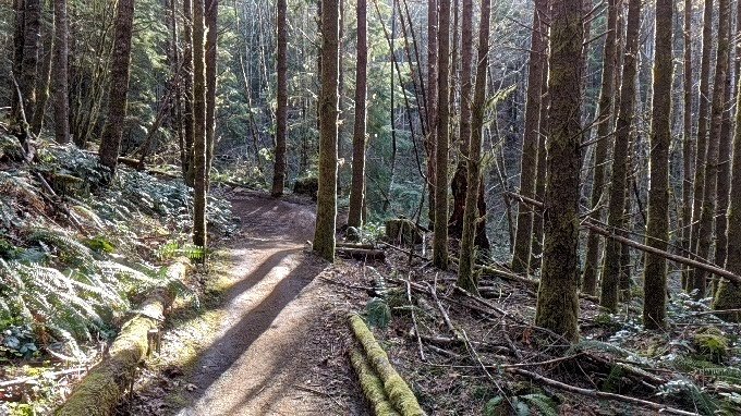 akucharski's tweet photo. #DrupalConPortland #getoutside #gobiking getting a bit of what Oregon has to offer before the conference https://t.co/Whux9CHsJ3