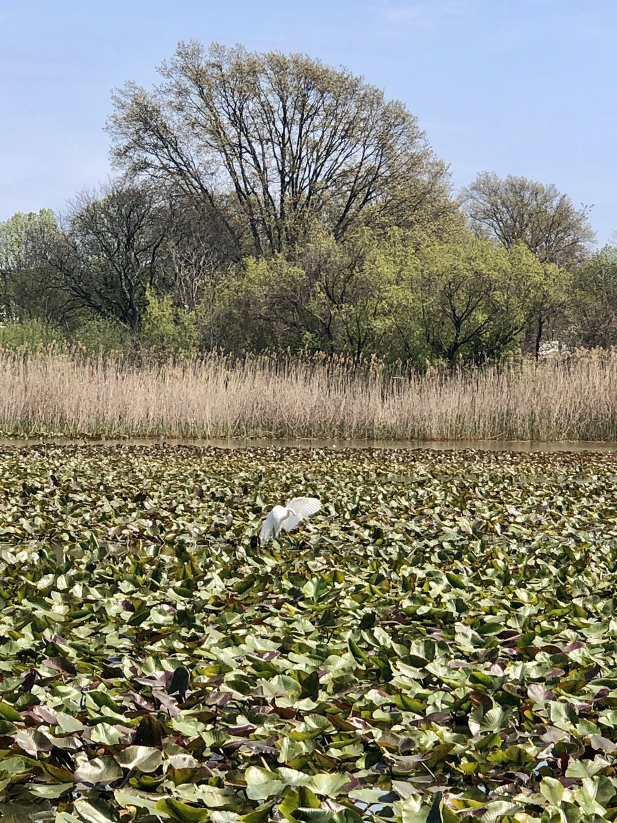 A G 🦆 tweet media