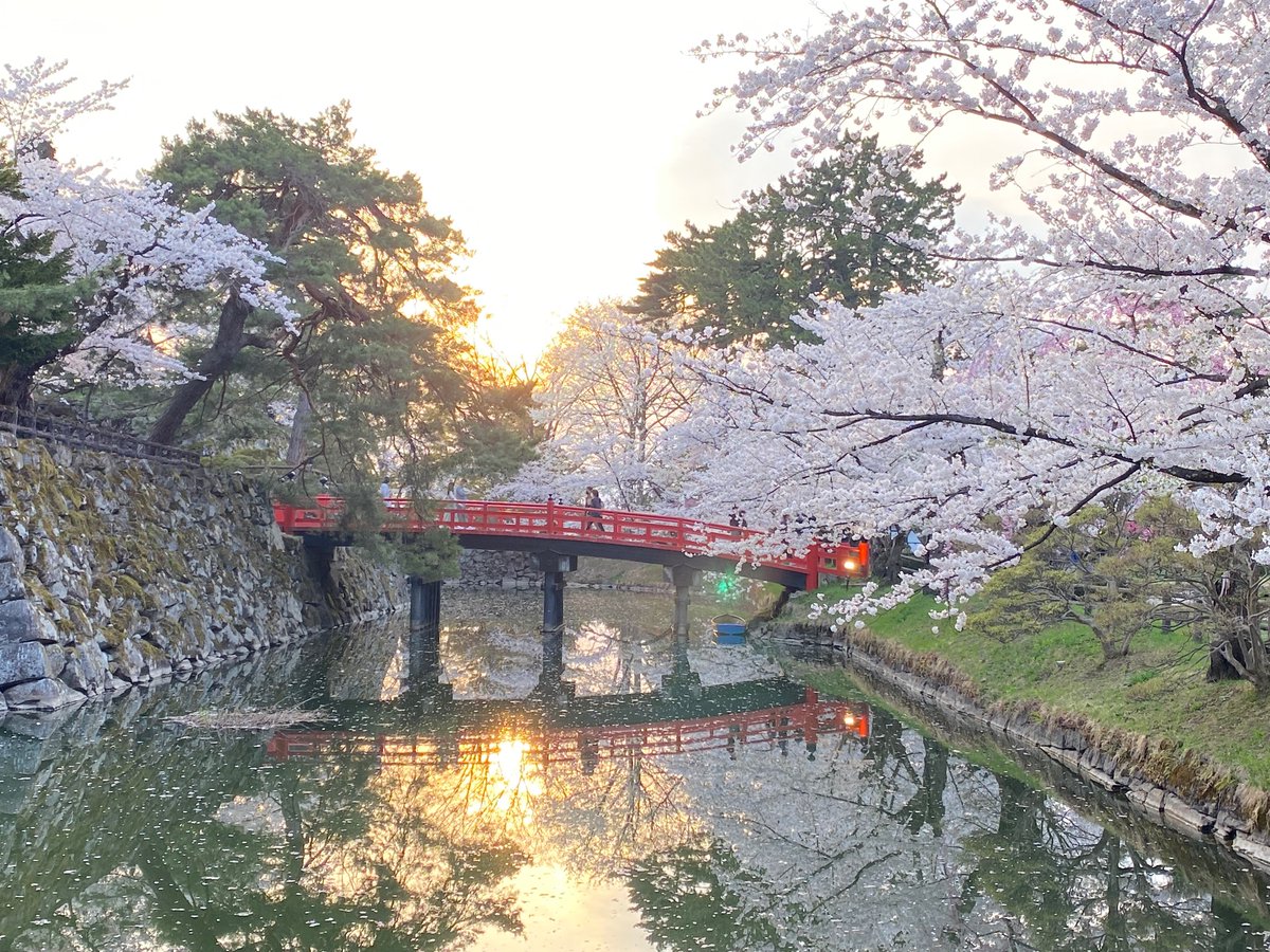 wanimanimama's tweet photo. #弘前公園 https://t.co/YcpWE4fKEy