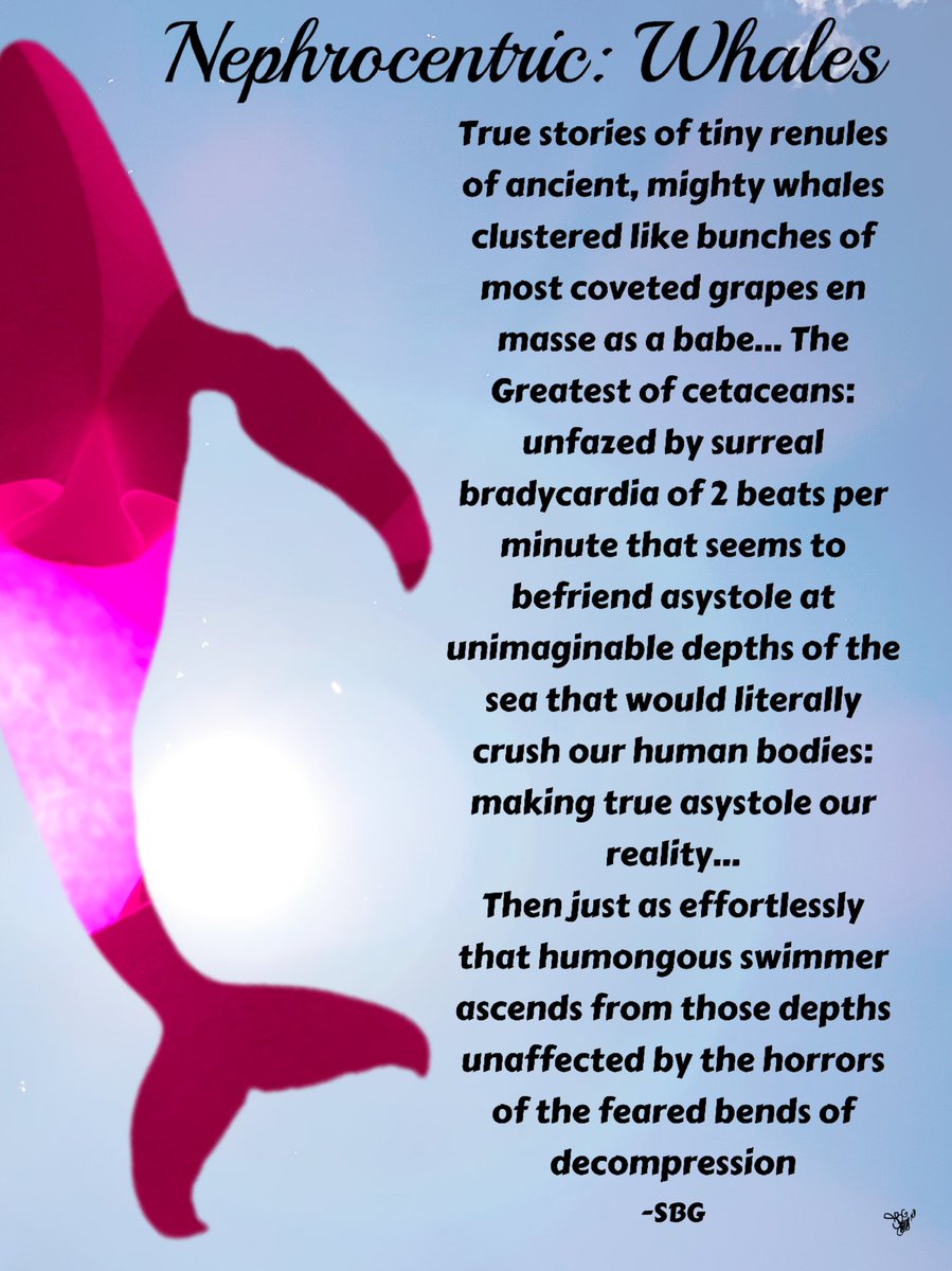 TheKidneyProtector (@kidneyprotector) on Twitter photo I must say this (though late): Homage due! <a href="/NephMadness/">NephMadness</a> REALLY delivered 2022. Thanks so much to the <a href="/AJKDonline/">AJKD</a> + Big shout out to <a href="/Nephro_Sparks/">Matthew Sparks, MD</a>! ❤️ to an all time favorite #AnimalHouse for inspiring much thanks to <a href="/CRRTiff/">Tiffany Truong</a> & <a href="/DrKeeksPhD/">Dr. Kelly Hyndman</a> #nephrocentric #poetry 1/ Cetaceans I must say this (though late): Homage due! <a href="/NephMadness/">NephMadness</a> REALLY delivered 2022. Thanks so much to the <a href="/AJKDonline/">AJKD</a> + Big shout out to <a href="/Nephro_Sparks/">Matthew Sparks, MD</a>! ❤️ to an all time favorite #AnimalHouse for inspiring much thanks to <a href="/CRRTiff/">Tiffany Truong</a> & <a href="/DrKeeksPhD/">Dr. Kelly Hyndman</a> #nephrocentric #poetry 1/ Cetaceans
