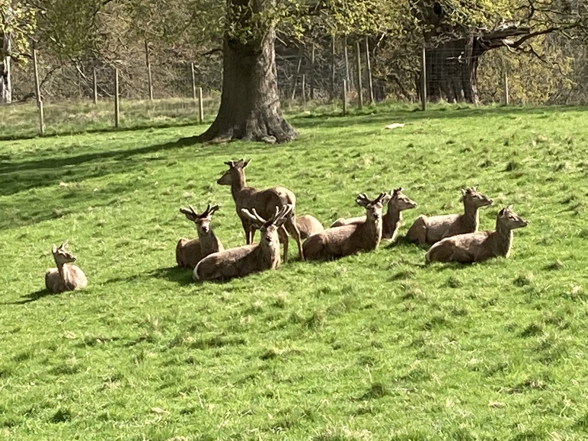 Angela Schofield tweet media