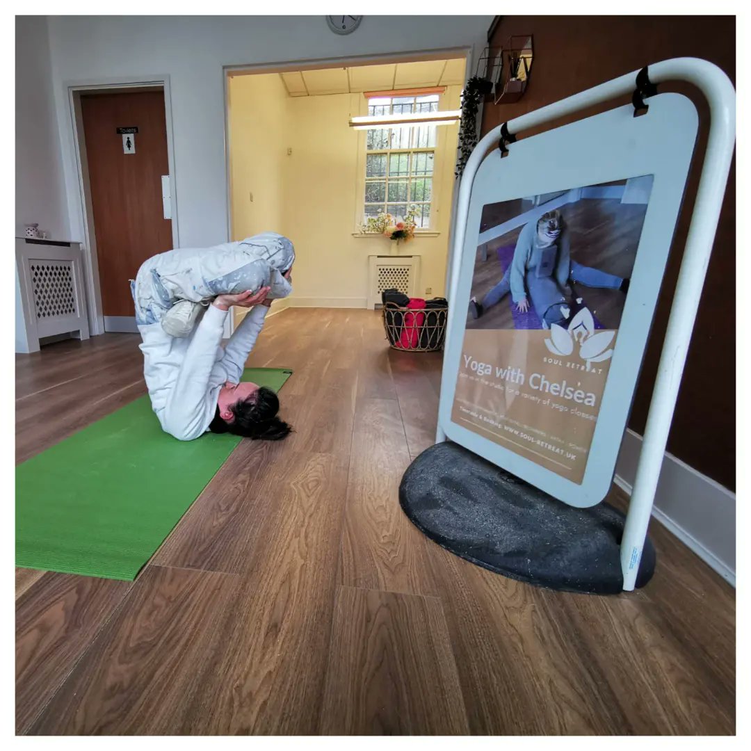 GeerafDecorator's tweet image. 🧘‍♀️We provide the highest level of service standing on our head 🧘‍♀️

🧘We just finished repainting yoga studio @soulretreatedinburgh in refreshing and shiny silk white🧘

🏦Beautiful place once being a bank converted now to spa, yoga studio and place to treat your soul and body 💆