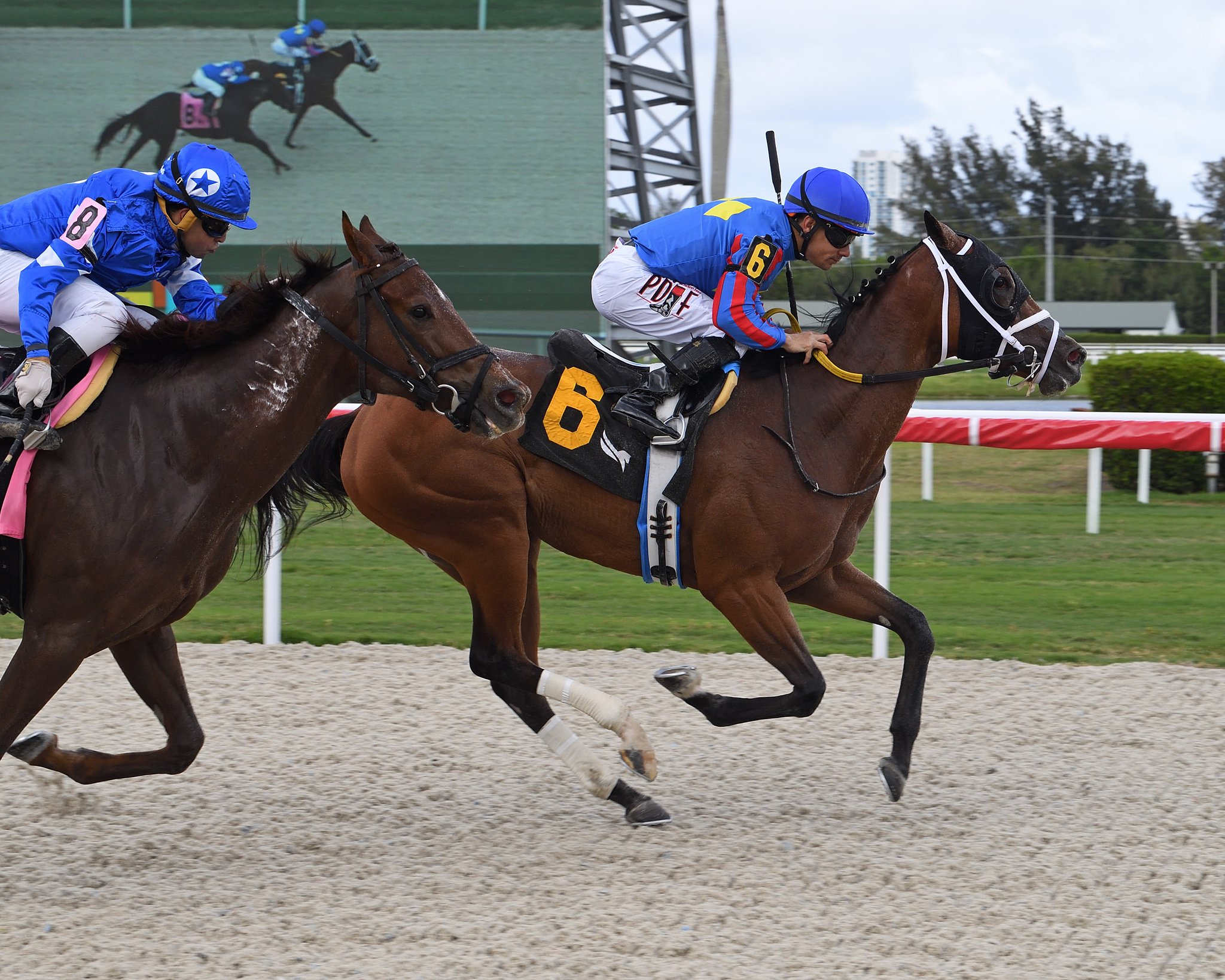 Gulfstream Park Scratches Today - r1e3bu9