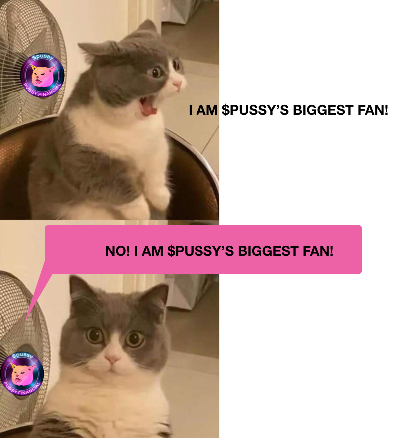 electricsphynx's tweet photo. 🥳 Happy Belated Birthday @PUSSYFinancial🎂

😺 1 Year Old! Crazy how time flies 

To celebrate this momentous occasion, I'm sharing a one of a kind meme 🎁 Please like &amp; retweet to raise awareness of all the $Pussy fans out there! #OnlyPussyFans 

#PFAnniversary #FansLikeNoOther https://t.co/QDdMFRoh3F